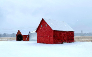 The new barns on our 77-acre property are getting their winter sweaters on!